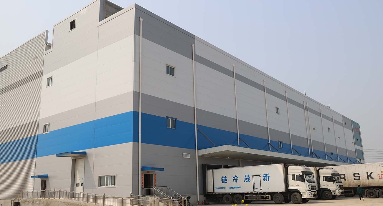 Project case of PNS Hot Popular customization Pu PIR sandwich panels for cold storage